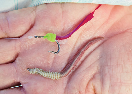 //www.flyfisherman.com/files/2016/06/FFMP-160700-WORM-03.jpg