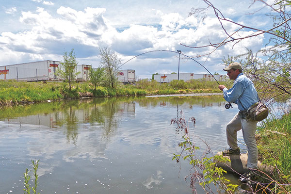 fly fishing bass urban