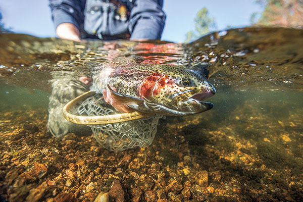 Fly-Fishing Fundamentals: Nymphing Low & Slow