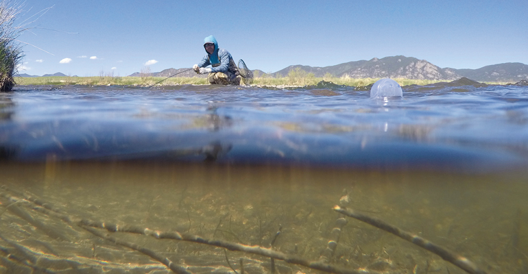 //content.osgnetworks.tv/flyfisherman/content/photos/FFMP-190300-SGM-001.jpg