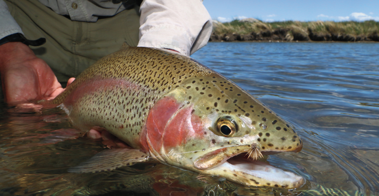 //content.osgnetworks.tv/flyfisherman/content/photos/FFMP-190300-SGM-003.jpg