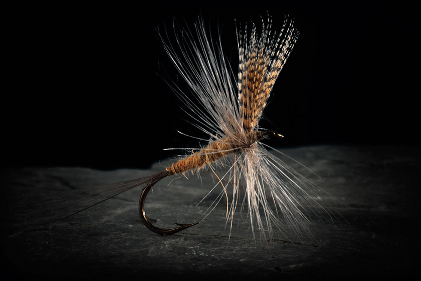 Fly Fishing the Hendrickson Hatch