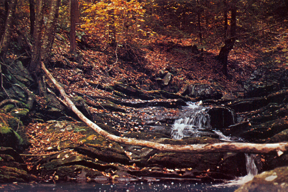 Gary LaFontaines High-Profile Imitations