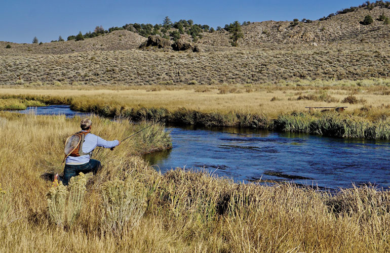 fly fishing caddis small stream