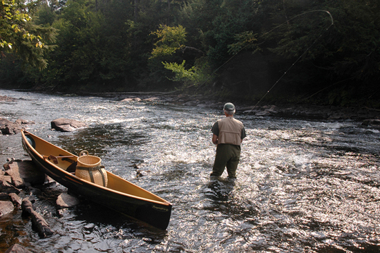 Fly Fishing Adirondack Park's Lakes, Ponds, and Moving Waters 