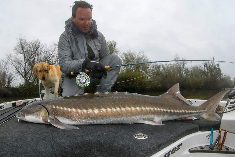 //content.osgnetworks.tv/flyfisherman/content/photos/JohnGSherman-Sturgeon.jpg