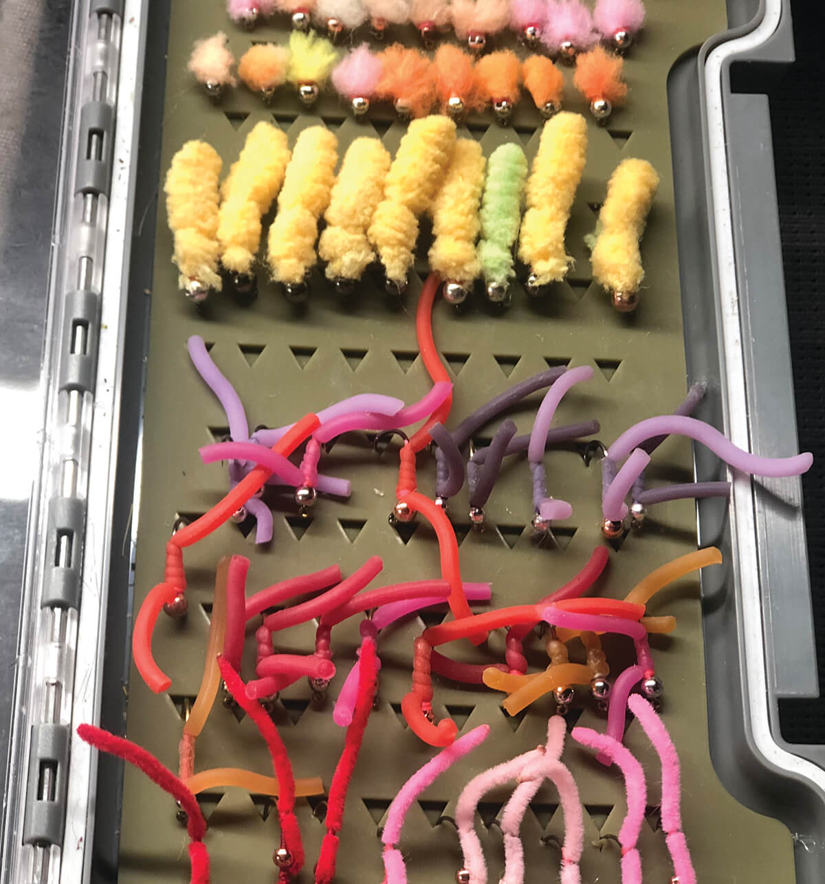 Junk flies worms eggs mop fly