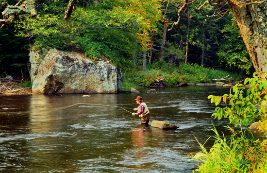 Fly Fishing Adirondack Park's Lakes, Ponds, and Moving Waters 