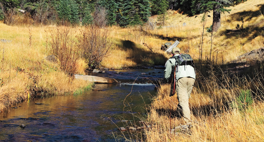 Fly Fishing Arizona's Black River