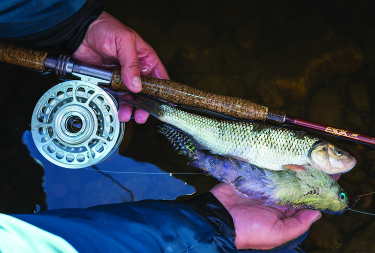 //content.osgnetworks.tv/flyfisherman/content/photos/Musky-Tackle.jpg