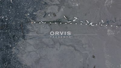 Orvis Presents “School of Fish” Full Film