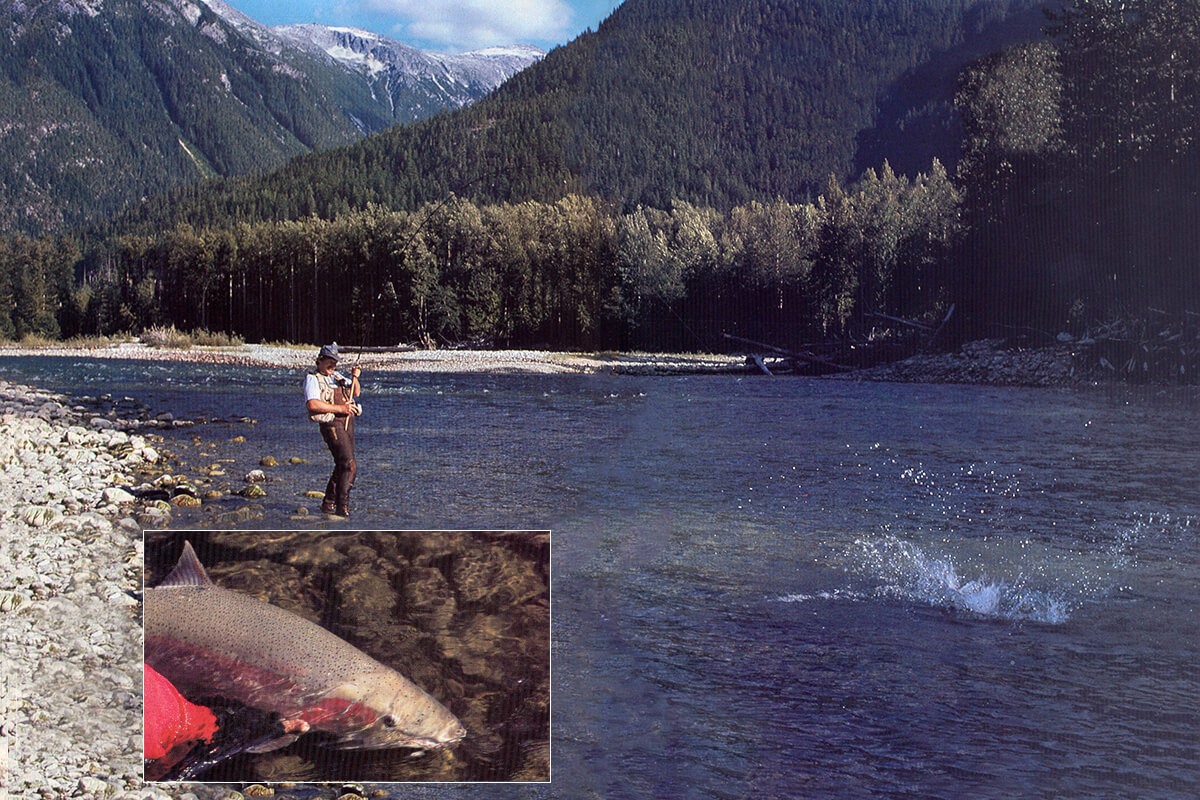 Fly Fisherman Throwback: Selective Steelhead