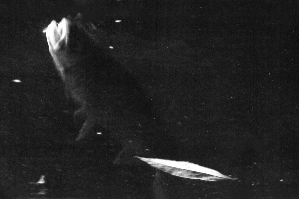 Fly Fisherman Throwback: Vincent Marinaro's 