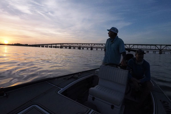 //www.flyfisherman.com/files/2016/11/Tarpon-Serching.jpg